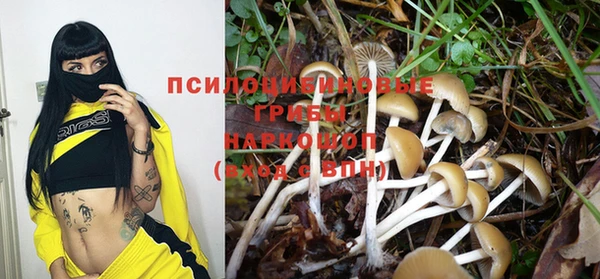 тгк Алексин