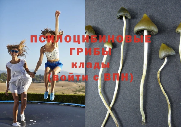 амф Алзамай